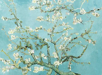 Wandposter Van Gogh Mandelblüte 40x30 cm Kunstdruck