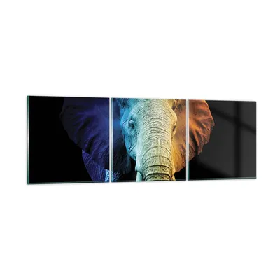 Produktbild von Bilder auf glas - 3 Teile - Bunt Elefant Fotografie - 120x40cm - Glasbilder - Wandbilder - Bilder - zum Aufhängen bereit - Wanddekoration aus Glas - Glas Bilder - Wandbild auf Glas - GCA120x40-4768