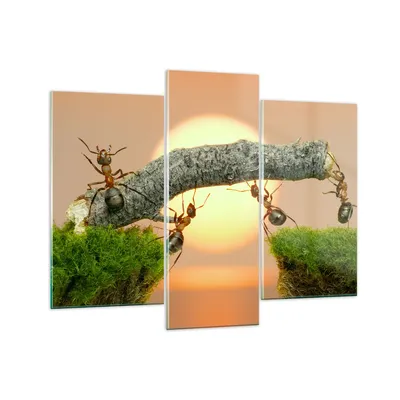 Produktbild von Bilder auf glas - Tiere Ameisen Brücke Natur - 130x100cm - Glasbilder - Wandbilder - Kunstdruck - zum Aufhängen bereit - Wanddekoration aus Glas - Glas Bilder - Wandbild auf Glas - GCB130x100-2104