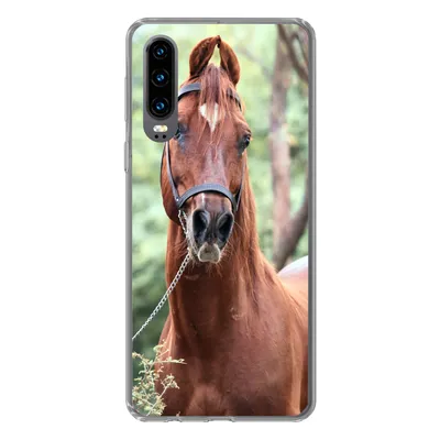 Produktbild von MuchoWow® Handyhülle Schutzhülle Hülle für Huawei P30 Pferd - Wald - Halfter Silikon Softcase Handy Hülle - Kartenbesitzer