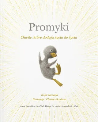 Obrázok produktu pre Promyki