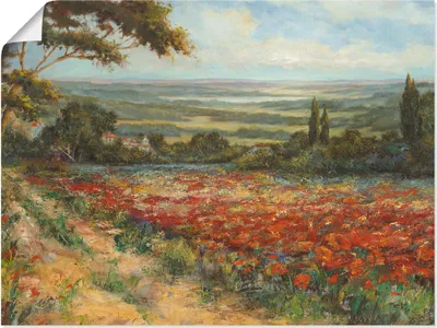 Produktbild von ARTland Poster Weg am Mohnfeld Größe: 40x30 cm