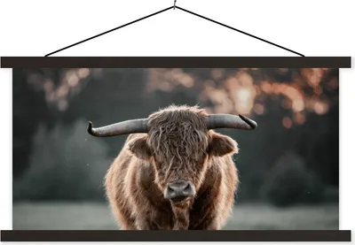 Produktbild von MuchoWow® Textilposter Schottisches Hochlandrind - Tier - Sonnenuntergang 120x60 cm mit schwarzem Rahmen - Dekoration Schlafzimmer