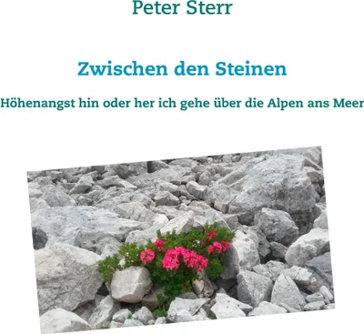 Produktbild von Zwischen den Steinen