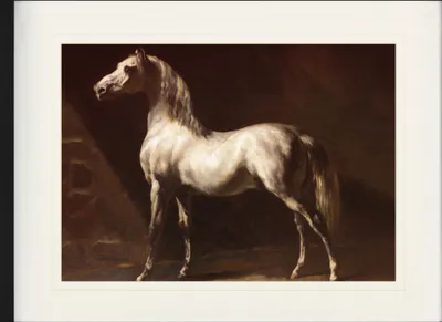 Obrázek produktu pro Theodore Géricault Zarámovaný obraz se šlechtickým pasem | Obrazy na zeď | V rámu - Arabská forma, před 1824 (60 x 80 cm)