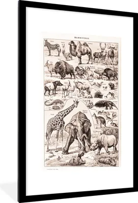 Produktbild von MuchoWow® Gerahmtes Poster Tiere - Elefant - Schwarz - Weiß 60x90 cm - Poster mit Schwarzem Bilderrahmen Wandposter Rahmen Foto Bilder - Dekoration - Wandposter Wohnzimmer - Hochwertig