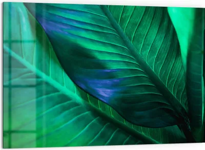 Produktbild von DEQORI Küchenrückwand Glas 60x40 cm 'Tropenblattstruktur' Spritzschutz Bad Rückwand
