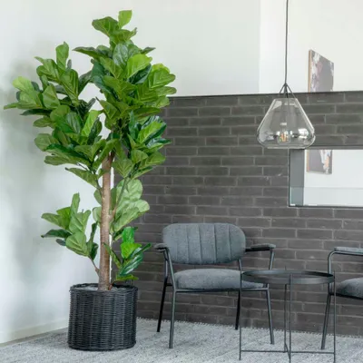Produktbild von Geigenbaum - Künstliche Pflanze ca. H190cm Geigenfeige Ficus Lyrata