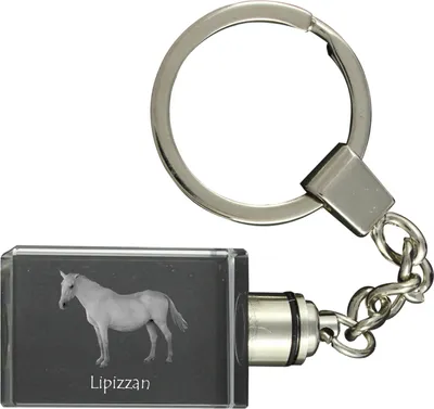 Imagen del producto de Lipizzano llavero de cristal con caballo Art-Dog