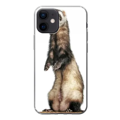 Produktbild von MuchoWow® Handyhülle Schutzhülle Hülle für iPhone 12 Frettchen - Tiere - Fell Silikon Softcase Handy Hülle - Schutzhülle