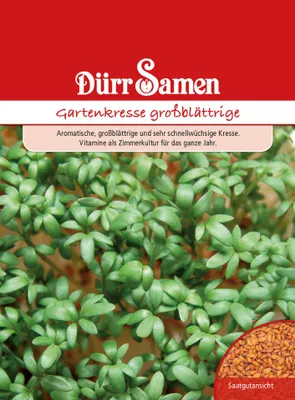 Produktbild von Gartenkresse großblättrig | Gartenkressesamen von Dürr Samen [MHD 12/2025]