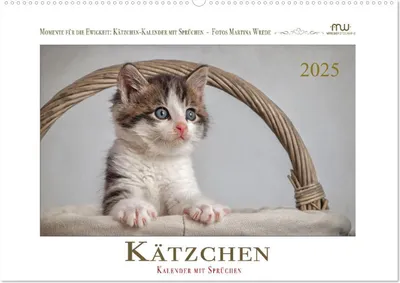 Produktbild von Kätzchen-Kalender mit Sprüchen (Wandkalender 2025 DIN A2 quer), CALVENDO Monatskalender