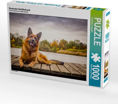 Produktbild von CALVENDO Puzzle Deutscher Schäferhund | 1000 Teile Lege-Größe 64x48cm Foto-Puzzle für glückliche Stunden