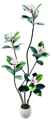 Immagine prodotto di Albero di magnolia artificiale - Fiori di magnolia bianchi - Pianta artificiale realistica in plastica - Vaso incluso - 150 cm - Decorazione per interni