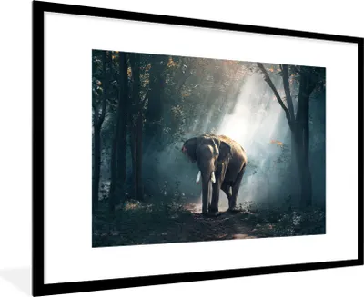 Produktbild von MuchoWow® MuchoWow® Gerahmtes Poster Elefant - Wald - Sonne 90x60 cm - Poster mit zchwarzem Bilderrahmen - Wanddekoration - Fotos