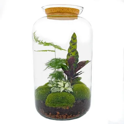 Immagine prodotto di Urbanjngl bottiglia da giardino Botanical Sven XL - 43 cm