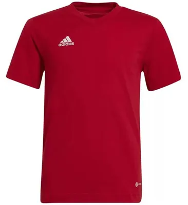 Produktbild von adidas Entrada 22 T-Shirt 116 TEPORE