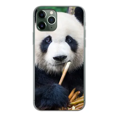 Produktbild von MuchoWow® Handyhülle Schutzhülle Hülle für iPhone 11 Pro Panda - Bambus - Natur Silikon Softcase Handy Hülle - Handy