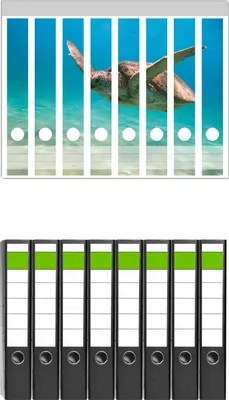 Produktbild von Wallario 8 Stück schmale Ordner inkl. Klebeetiketten mit Motive Meeresschildkröte -  Set mit Rückenschildern / Ordnerrücken Stickern