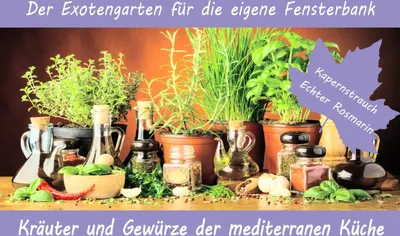 Produktbild von Anzuchtset Kräuter und Gewürze der mediterranen Küche | Anzuchtsets von Saflax