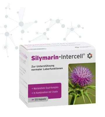 Zdjęcie produktu dla Mito-Pharma Silymarin-Intercell 120 Kapsułek