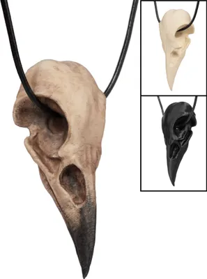 Produktbild von Rabenschädel Anhänger mit Lederband (10cm) Farbe: schwarz