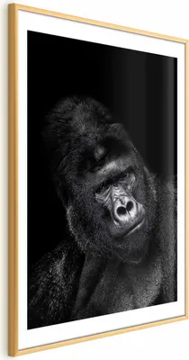 Produktbild von Posterpapier Poster - Gorilla 29.7x42 cm Tiere g-B-0113-ao-a