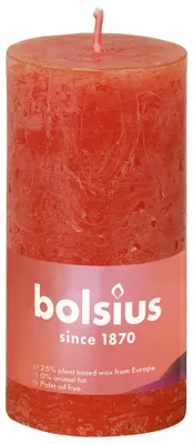 Productafbeelding van Bolsius Rustiekkaars 100/50 Earthy Orange (1 stuk)