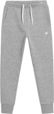 Zdjęcie produktu dla 4F Spodnie HJL22JSPDD00127M, Rozmiar: 125