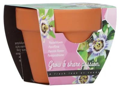 Artikelbild 1 von 'Anzuchtset Blaue Passionsblume' aus der Kategorie Anzucht & Gartenzubehör