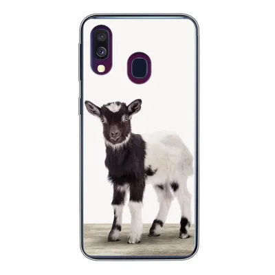 Produktbild von MuchoWow® Handyhülle Schutzhülle Hülle für Samsung Galaxy A40 Ziege - Tiere - Kinder - Jungen - Mädchen Silikon Softcase Handy Hülle - Handy-Tasche