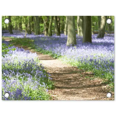 Produktbild von MuchoWow® – Außenplakat – Dekoration für den Garten, Sichtschutz – Gartenbilder für den Garten – Wald – Straße – Blumen – Lila – Grün – Natur – 30x40x0,2 cm
