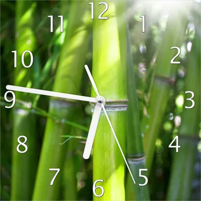 Produktbild von Wallario Design Wanduhr Bambus im Sonnenschein aus Echtglas, Größe 20 x 20 cm