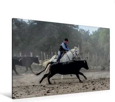 Produktbild von Calvendo Textil-Leinwand 120 cm x 80 cm quer Aussortieren der Stiere, Gaymard Alain; 7372983