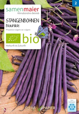 Artikelbild 1 von 'BIO Blauhilde fadenlose Stangenbohne' aus der Kategorie Stangenbohnensamen