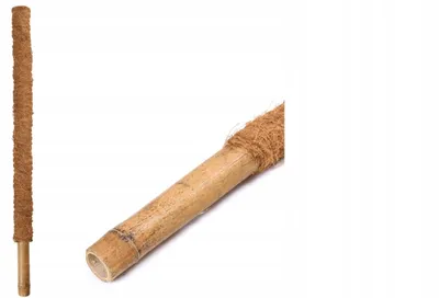 Zdjęcie produktu dla Podpora palik kokosowy tyczka bambus do pnączy kwiatów roślin monstery 50cm