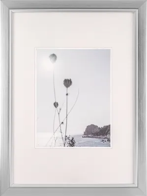 Produktbild von Walther, JI342S, Beyond Designrahmen 29,7x42  cm SILBER DIN A3
