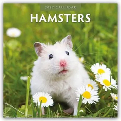 Produktbild von Hamsters - Hamster 2027 - 16-Monatskalender