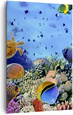 Produktbild von Bild auf Leinwand - Leinwandbild - Einteilig - Korallenriff - 80x120cm - Wand Bild - Wanddeko - Wandbilder - Leinwanddruck - Kunstdruck - Wanddekoration - Leinwand bilder - Wandbild - PA80x120-3569