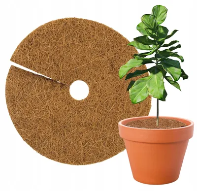Image de De haute qualité - Riche en éléments nutritifs - Pour le jardin et le balcon - Tapis de coco - Protection des plantes - Protection contre le gel - Réduction des mauvaises herbes