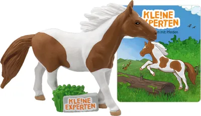 Produktbild von KLE!NE EXPERTEN - ...galoppieren mit Pferden Hörfigur