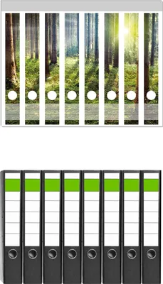 Produktbild von Wallario 8 Stück schmale Ordner inkl. Klebeetiketten mit Motive Sonnenuntergang im Wald zwischen den Bäumen -  Set mit Rückenschildern / Ordnerrücken Stickern