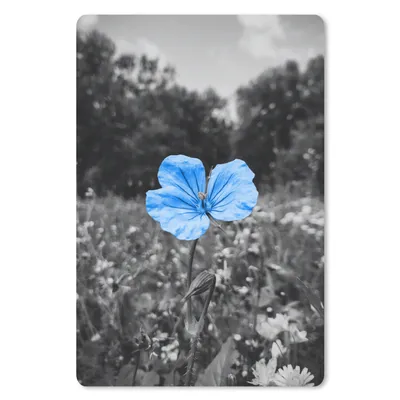 Produktbild von MuchoWow® Mauspad Mousepad Blumen - Schwarz - Weiß - Blau 40x60 cm - Mousepads - Maus Mat - Pad - Mausunterlage - Schreibtisch Accesoire