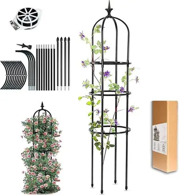Produktbild von Famanu Obelisk Pflanzenstütze - Klimahilfe für Gartenpflanzen - 154 cm