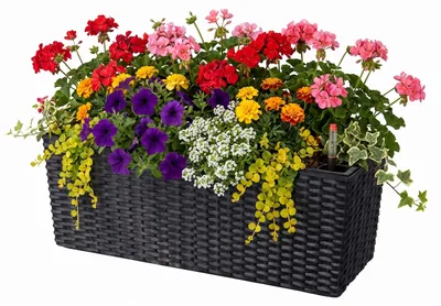 Image de Jardinière de balcon Relaxdays, système d'arrosage automatique, dimensions : 19 x 50 x 19 cm, jardinière pour balustrade avec insert et indicateur de niveau d'eau, PP, noir
