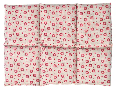 Obrázok produktu pre Teplá podložka s 6 komorami, rozmer 40x30 cm, značka Raapzaad