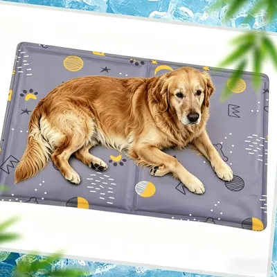 Kühlmatte für Hunde und Katzen, 65 x 50 cm, Gel-Technologie