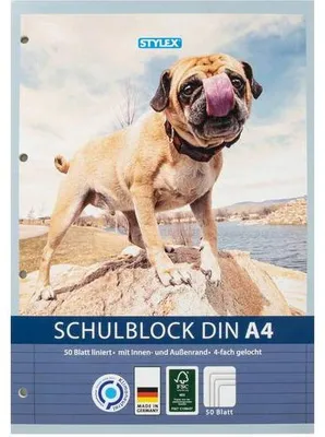 Produktbild von Stylex Schulblock, DIN A4, gelocht – liniert