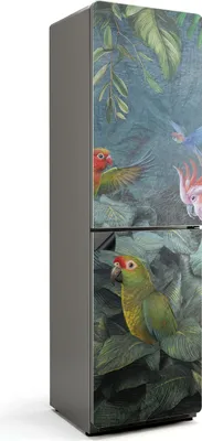 Obrázek produktu pro Tropičtí ptáci v džungli - Magnetický kryt ledničky - Magnetická dekorativní fólie do kuchyně - Magnetická dekorace na ledničku - Samolepicí magnetická tabule - Magnetická fólie na dveře ledničky - 60x205 cm
