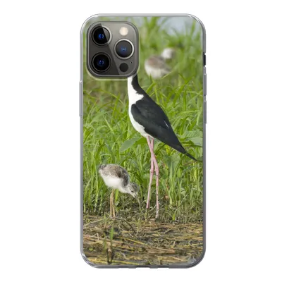 Produktbild von MuchoWow® Handyhülle Schutzhülle Hülle für iPhone 12 Pro Vogel - Gras - Küken - Sumpf Silikon Softcase Handy Hülle - Abdeckung